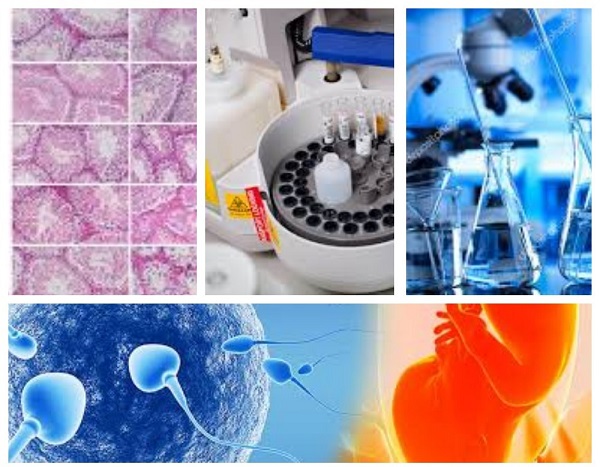 Відділ експериментальної ендокринології